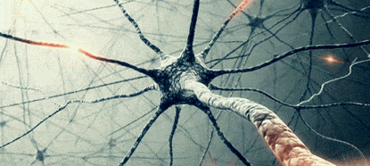 neuroni-specchio